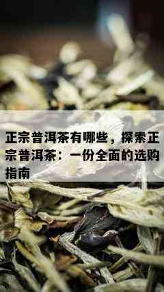 正宗普洱茶有哪些，探索正宗普洱茶：一份全面的选购指南