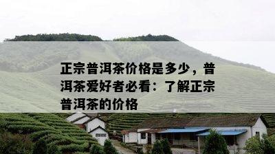 正宗普洱茶价格是多少，普洱茶爱好者必看：了解正宗普洱茶的价格