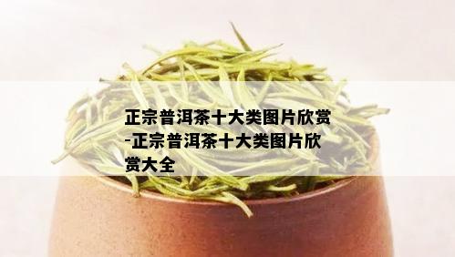 正宗普洱茶十大类图片欣赏-正宗普洱茶十大类图片欣赏大全