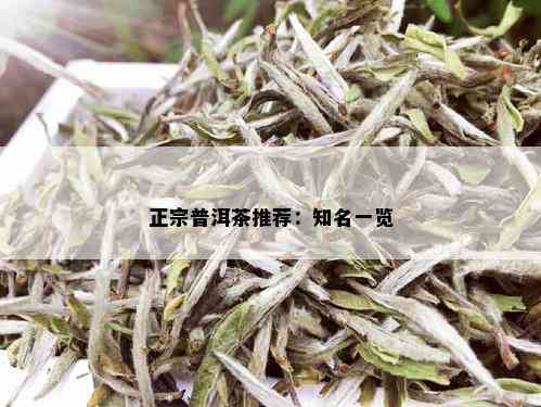 正宗普洱茶推荐：知名一览