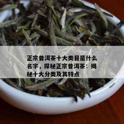 正宗普洱茶十大类目是什么名字，探秘正宗普洱茶：揭秘十大分类及其特点