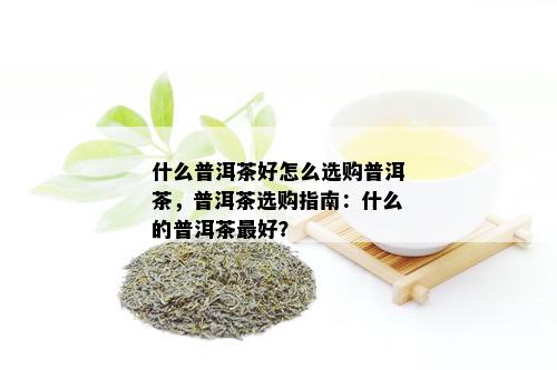 什么普洱茶好怎么选购普洱茶，普洱茶选购指南：什么的普洱茶更好？