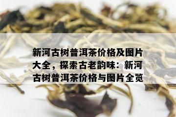 新河古树普洱茶价格及图片大全，探索古老韵味：新河古树普洱茶价格与图片全览