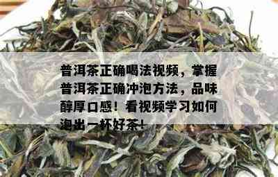 普洱茶正确喝法视频，掌握普洱茶正确冲泡方法，品味醇厚口感！看视频学习如何泡出一杯好茶！