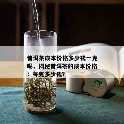 普洱茶成本价格多少钱一克呢，揭秘普洱茶的成本价格：每克多少钱？