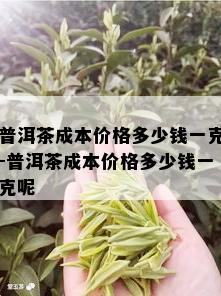 普洱茶成本价格多少钱一克-普洱茶成本价格多少钱一克呢