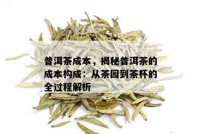 普洱茶成本，揭秘普洱茶的成本构成：从茶园到茶杯的全过程解析