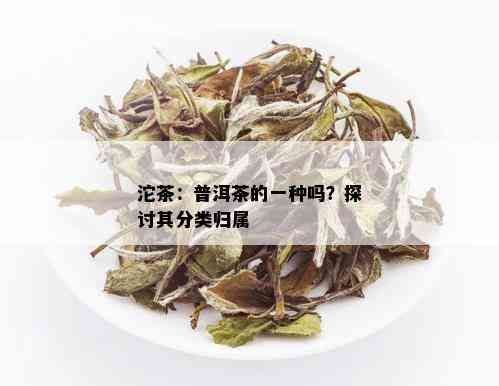 沱茶：普洱茶的一种吗？探讨其分类归属