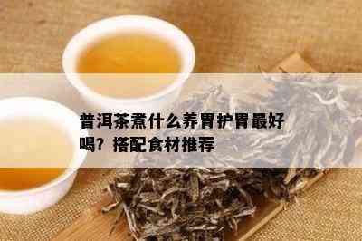 普洱茶煮什么养胃护胃更好喝？搭配食材推荐