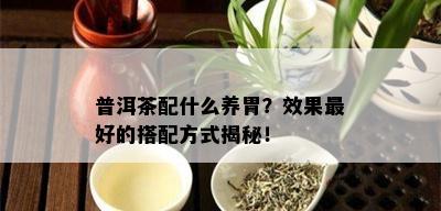 普洱茶配什么养胃？效果更好的搭配方式揭秘！