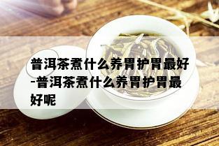 普洱茶煮什么养胃护胃更好-普洱茶煮什么养胃护胃更好呢