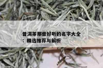 普洱茶那些好听的名字大全：精选推荐与解析