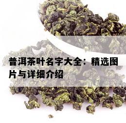 普洱茶叶名字大全：精选图片与详细介绍