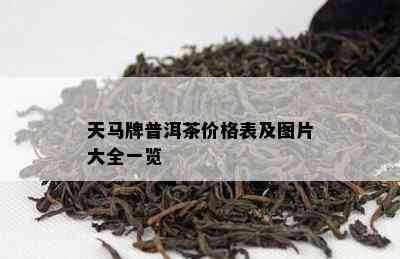 天马牌普洱茶价格表及图片大全一览