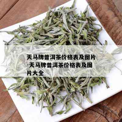 天马牌普洱茶价格表及图片-天马牌普洱茶价格表及图片大全