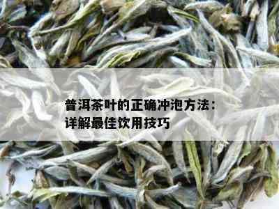 普洱茶叶的正确冲泡方法：详解更佳饮用技巧