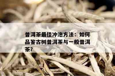 普洱茶更佳冲泡方法：如何品鉴古树普洱茶与一般普洱茶？