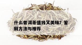 什么普洱茶值钱又美味？鉴别方法与推荐