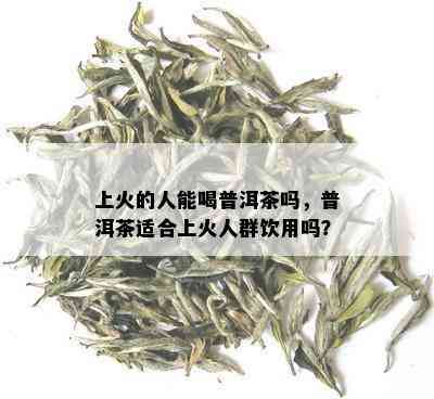 上火的人能喝普洱茶吗，普洱茶适合上火人群饮用吗？