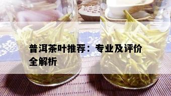 普洱茶叶推荐：专业及评价全解析