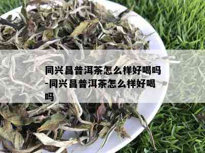 同兴昌普洱茶怎么样好喝吗-同兴昌普洱茶怎么样好喝吗