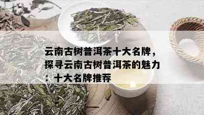 云南古树普洱茶十大名牌，探寻云南古树普洱茶的魅力：十大名牌推荐