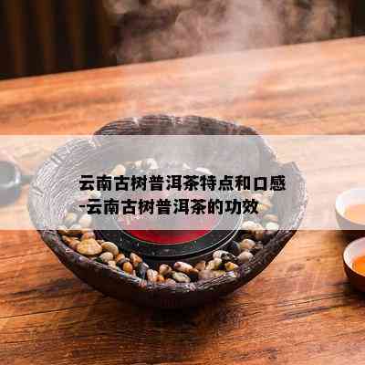 云南古树普洱茶特点和口感-云南古树普洱茶的功效