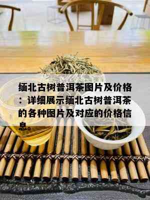 缅北古树普洱茶图片及价格：详细展示缅北古树普洱茶的各种图片及对应的价格信息。