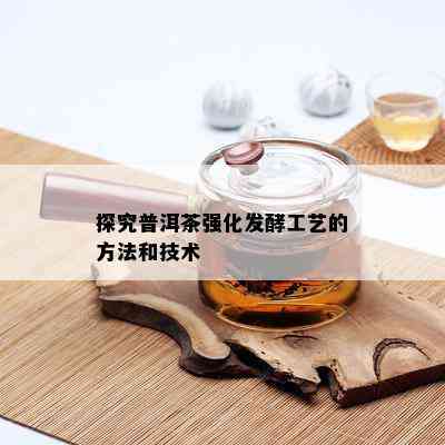 探究普洱茶强化发酵工艺的方法和技术