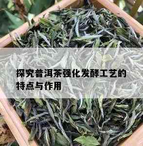 探究普洱茶强化发酵工艺的特点与作用