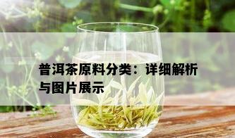 普洱茶原料分类：详细解析与图片展示