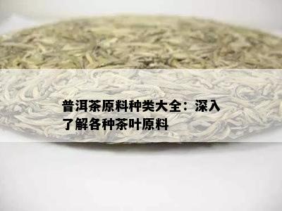 普洱茶原料种类大全：深入了解各种茶叶原料