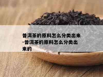 普洱茶的原料怎么分类出来-普洱茶的原料怎么分类出来的