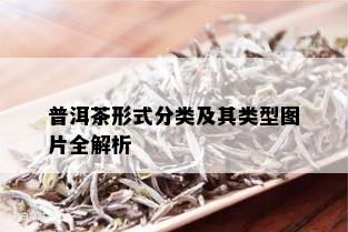 普洱茶形式分类及其类型图片全解析