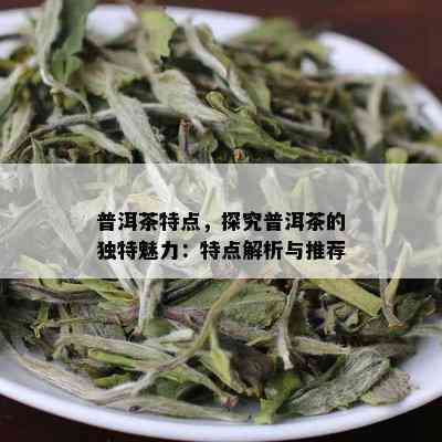 普洱茶特点，探究普洱茶的独特魅力：特点解析与推荐