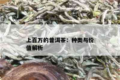 上百万的普洱茶：种类与价值解析