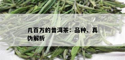 几百万的普洱茶：品种、真伪解析