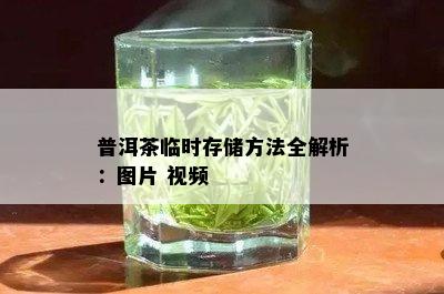 普洱茶临时存储方法全解析：图片 视频