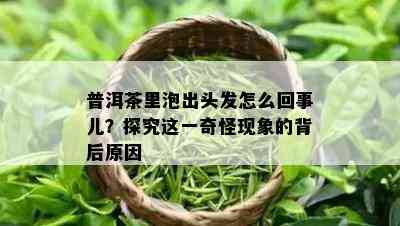 普洱茶里泡出头发怎么回事儿？探究这一奇怪现象的背后原因