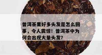 普洱茶里好多头发是怎么回事，令人震惊！普洱茶中为何会出现大量头发？