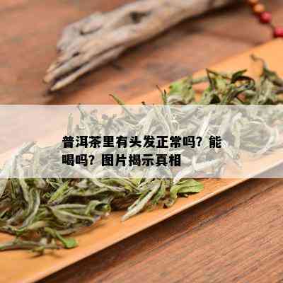 普洱茶里有头发正常吗？能喝吗？图片揭示真相