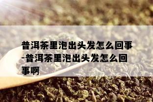 普洱茶里泡出头发怎么回事-普洱茶里泡出头发怎么回事啊