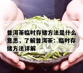 普洱茶临时存储方法是什么意思，了解普洱茶：临时存储方法详解