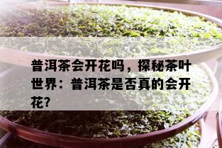 普洱茶会开花吗，探秘茶叶世界：普洱茶是否真的会开花？