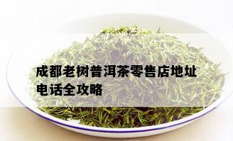 成都老树普洱茶零售店地址电话全攻略