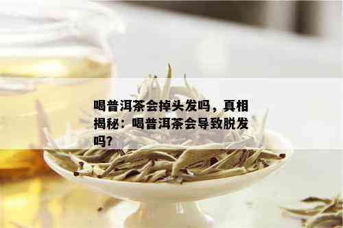 喝普洱茶会掉头发吗，真相揭秘：喝普洱茶会导致脱发吗？