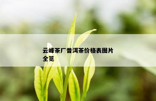 云峰茶厂普洱茶价格表图片全览