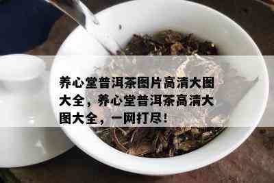 养心堂普洱茶图片高清大图大全，养心堂普洱茶高清大图大全，一网打尽！