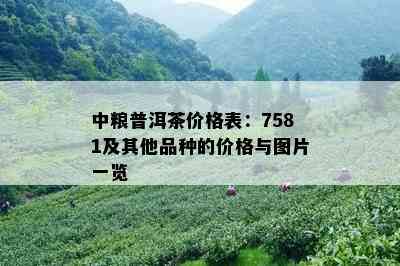 中粮普洱茶价格表：7581及其他品种的价格与图片一览