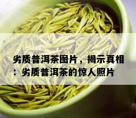 劣质普洱茶图片，揭示真相：劣质普洱茶的惊人照片